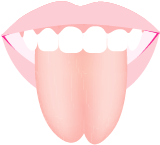 POINT1 舌苔（舌の汚れ）